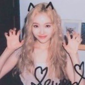 Meet your Posher, Autumn